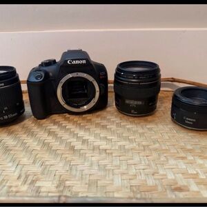 Canon Black EOS Camera with Three Lenses